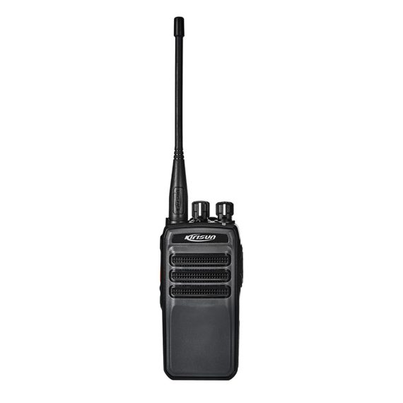 dp405.jpg